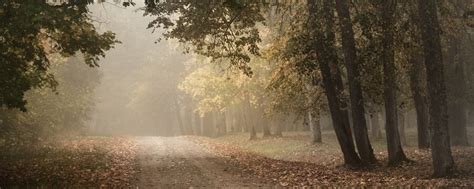 598,671 BEST Paseo IMAGES, STOCK PHOTOS & VECTORS | Adobe Stock