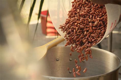 Outdoor Mardi Gras Party Making Red Beans And Rice To Feed 50
