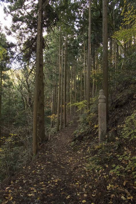 Supta On The Koyasan Choishi Michi Pilgrimage Trail A Photograph From