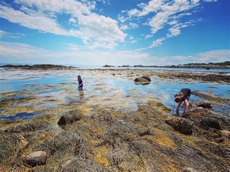 New Hampshires Learn Everywhere Program Adds Seacoast Science Center