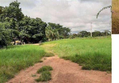 Fazendas Venda Em Cocalinho Mt Chaves Na M O