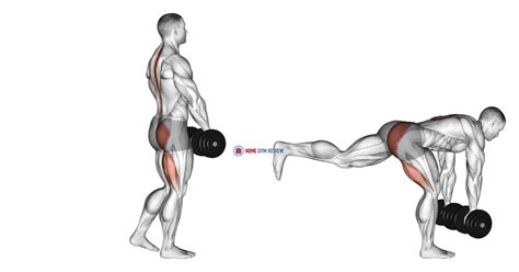 Dumbbell Single Leg Deadlift Home Gym Review