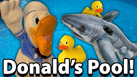 Donalds Pool Youtube