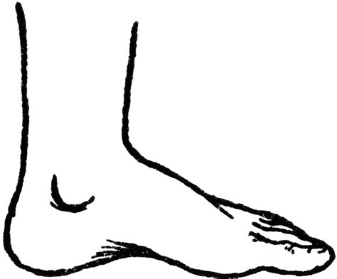 Feet Clip Art