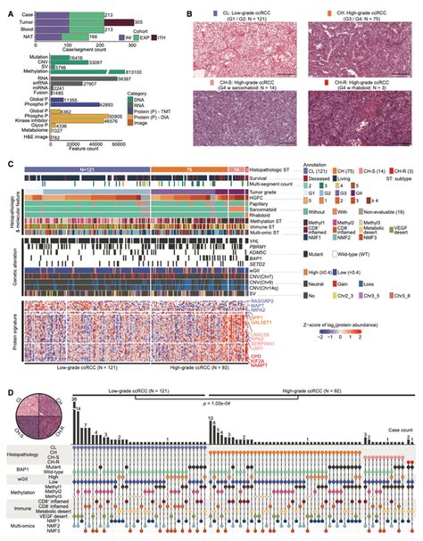 Cancer Cell 临床大队列多组学联合范例：揭示透明细胞型肾细胞癌侵袭性特征 知乎