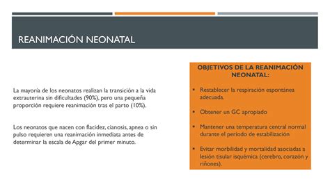 SOLUTION Reanimacion Neonatal Studypool