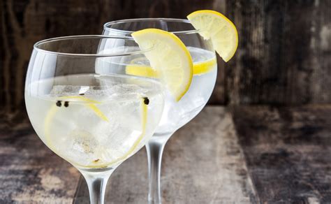 Receitas De Gin T Nica Sabor Arom Tico E Surpreendente