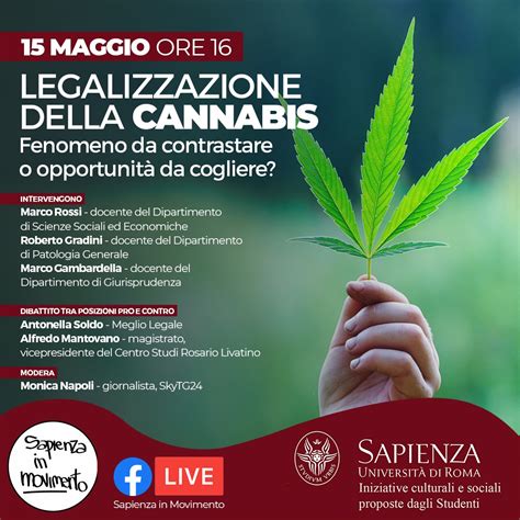 Legalizzazione Della Cannabis Fenomeno Da Contrastare O Opportunità Da