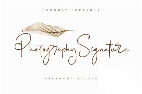 Photography Signature Font Free All Free Fonts