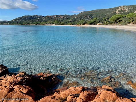 La Plage De Palombaggia En Corse Porto Vecchio Artofit