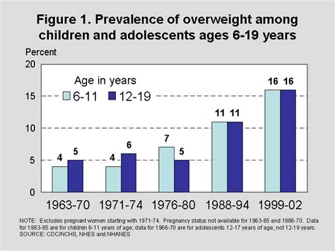 Products - Health E Stats - Overweight Among Children and Adolescents, 1999-2002