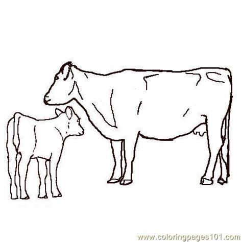 Coloring Pages Angus cow calf (Mammals > Cow) - free printable coloring ...