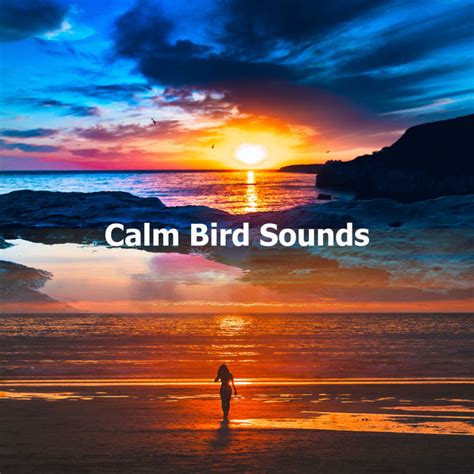 Calm Bird Sounds Album By Soothing Nature Sounds Spotify