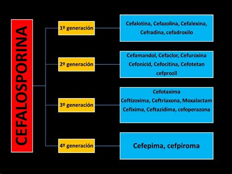 farmacología cefalosporinas