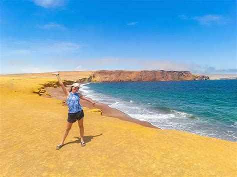 Reserva Nacional De Paracas C Mo Llegar Y Lugares A Visitar