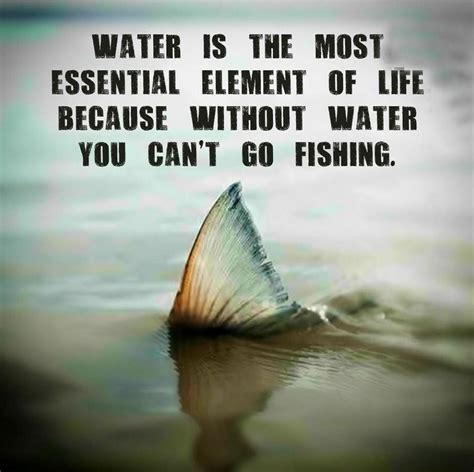 Funny Fishing Quotes With Pictures - ShortQuotes.cc