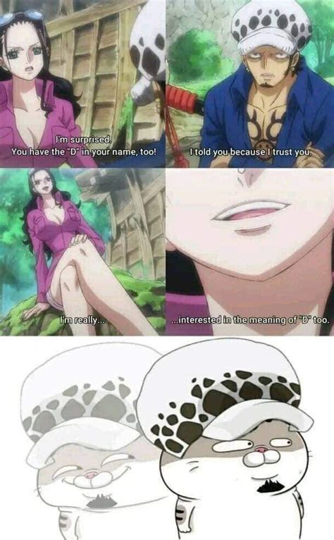 Robin asks Law about the D. : r/MemePiece