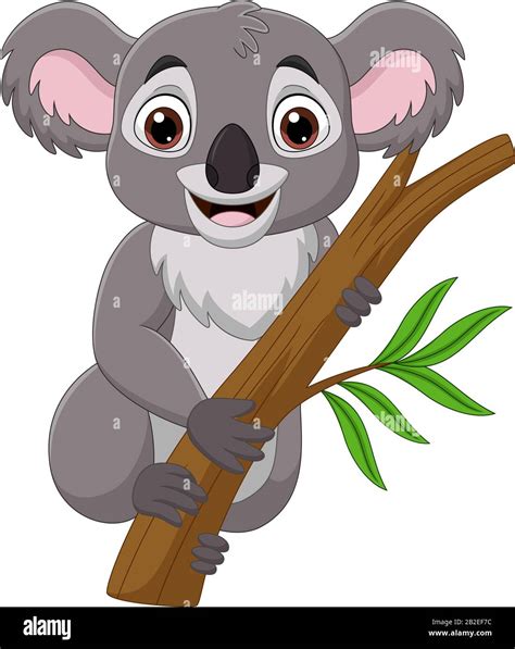 Dibujos Animados Koala En Una Rama De Rbol Imagen Vector De Stock Alamy