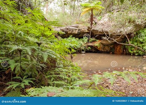 Fern Pool And The Waterfall Inside Karijini National Park Western