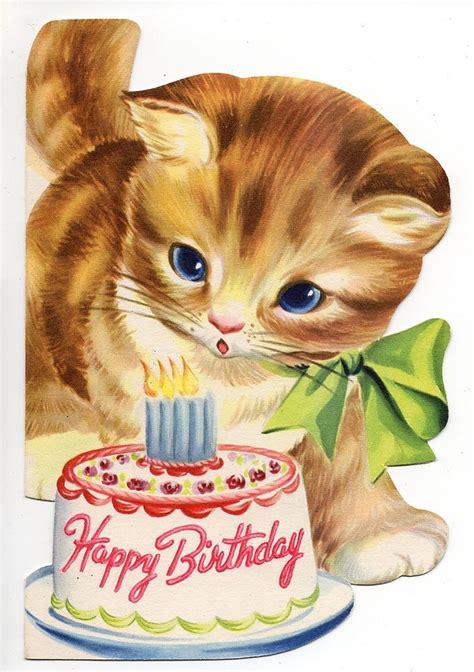 Happy Birthday Images With Kittens💐 — Free Happy Bday Pictures And