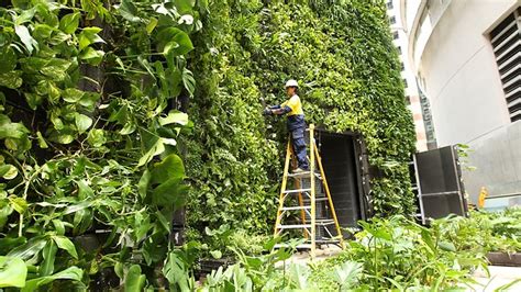 1 Care Free Vertical Green Wall Garden Planter System Singapore