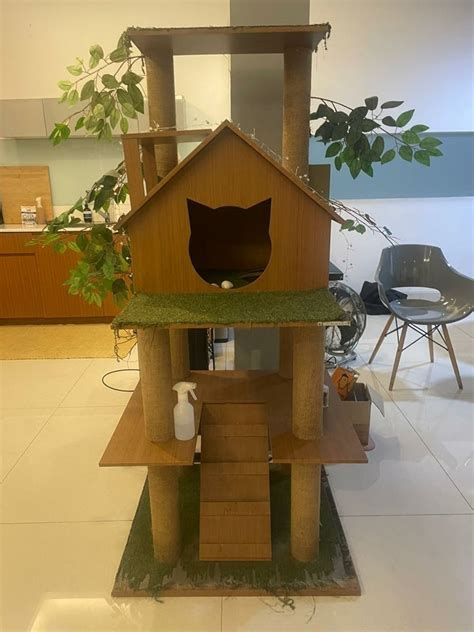 Rumah Kucing Besar Tinggi Cm Rp On Carousell