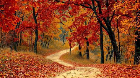 Autumn Scenery Stock Photos, Images and Backgrounds for Free Download