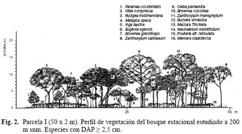 Caracterización florística y estructural de un bosque estacional en el