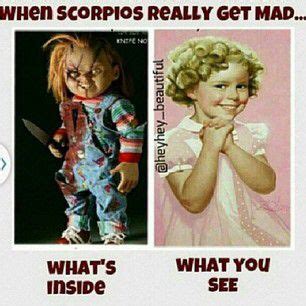 Scorpio Zodiac Scorpio Zodiac Facts Scorpio Scorpio Funny