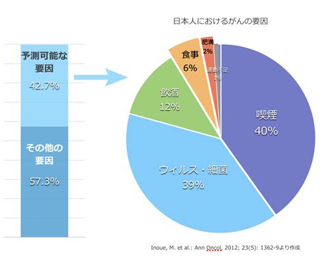 がんの原因、食事の影響は少ないかも知れない 安中千絵の食ブログ