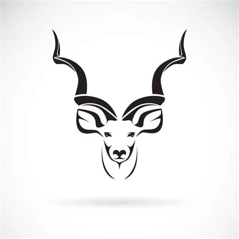 Oryx Stock Vectors, Royalty Free Oryx Illustrations | Depositphotos®