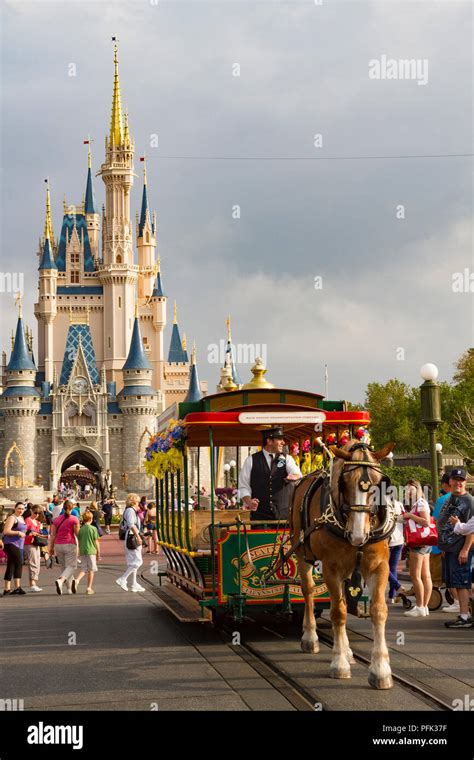 Cinderella Castle En El Parque Temático Magic Kingdom Walt Disney