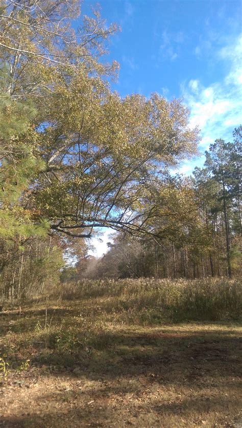 Park Pics | Carroll County, GA - Official Website