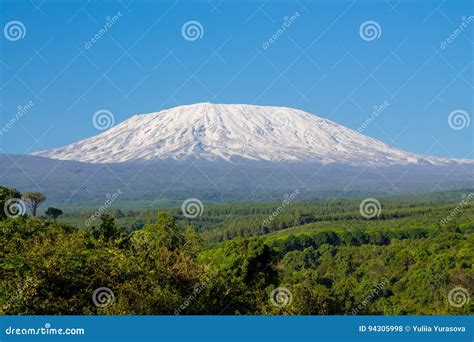 Kilimanjaro Mountain Panoramic View Stock Photo Image Of Natural