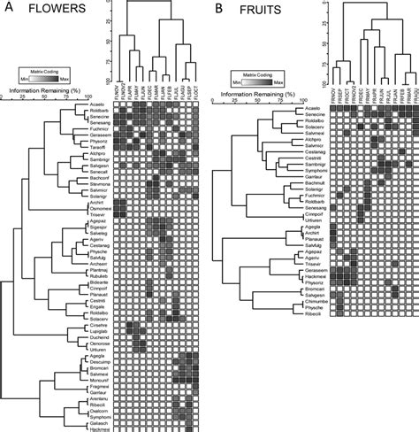 Dendrograms From The Two Way Analysis TWINSPAN For The Understory