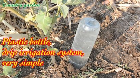 Plastic Bottle Drip Irrigation System Very Simple Ep1 Country