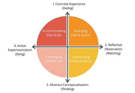 Kolb E Gli Stili Di Apprendimento Un Approccio Per Comprendere E