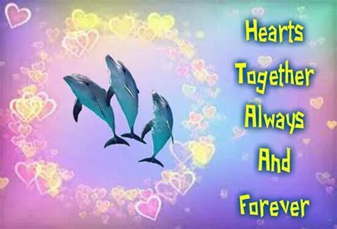 Two Dolphins Are Jumping In The Air With Hearts Around Them And Text