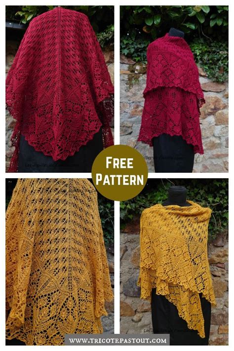 Plaisir Lace Shawl Free Knitting Pattern Knitting Patterns Free Scarf Free Knit Shawl