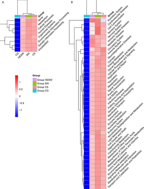 Frontiers Profiling Of Diagnostic Information Of And Latent