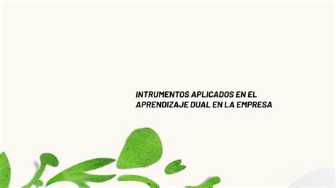 Instrumentos Aplicados En El Aprendizaje Dual En La Empresa By Angela