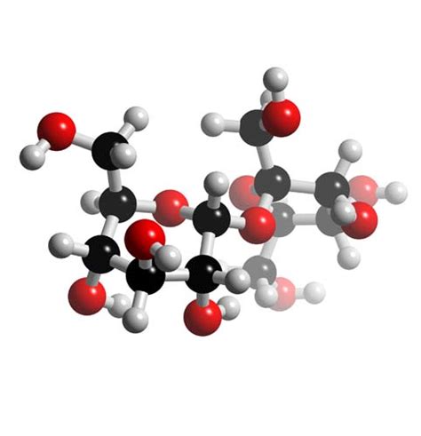 Sucrose Molecular Structure