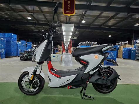 Saige EV High Quality 800W Long Range Pedal Assist Electric Moped