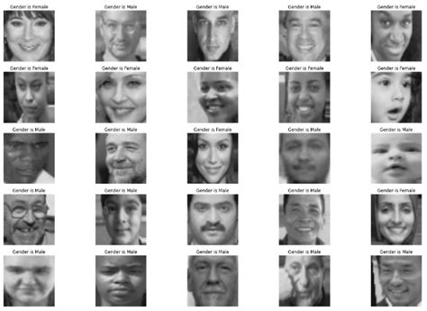 Classification of Ethnicity Using Efficient CNN Models on MORPH and