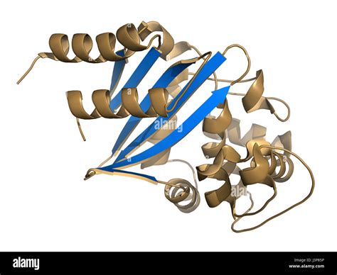 Carbapenemase Carbapenem Antibiotic Resistance Enzyme Carbapenemase