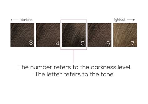 Ash Brown Hair Color Chart