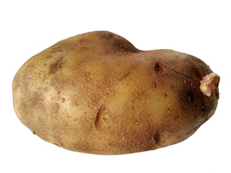 potato  stock photo public domain pictures