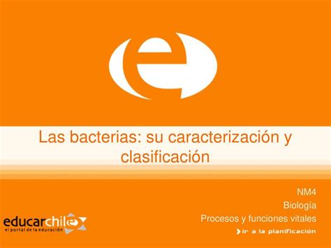 Las Bacterias Su Caracterizaci N Y Clasificaci N Mileydi Leiva Udocz