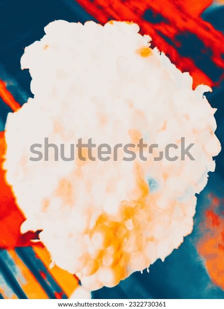 42 Penoplast Images, Stock Photos, 3D objects, & Vectors | Shutterstock