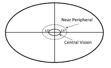 Model Of Central Vision In Human Perception 32 Download Scientific